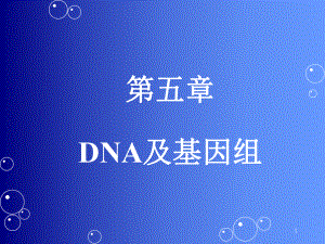 医学分子生物学-dna-1课件.ppt