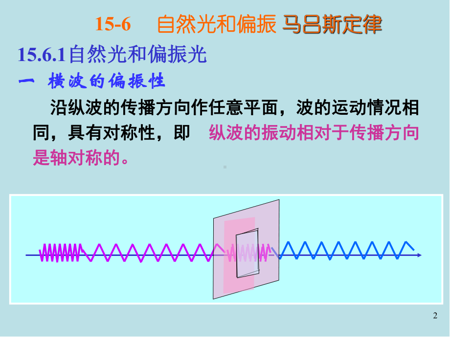 大学物理第15章b-光的偏振ppt课件.ppt_第2页