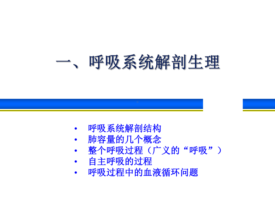 呼吸系统解剖生理与呼吸机的基本模式课件.ppt_第2页