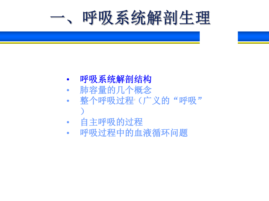 呼吸系统解剖生理与呼吸机的基本模式课件.ppt_第3页