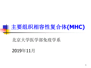 医学免疫学教学课件汇编-6主要组织相容性复合体mhc-PPT.ppt