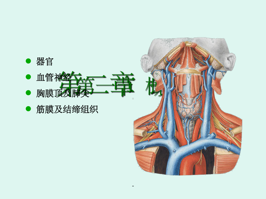 局解--颈部解剖课件.ppt_第3页