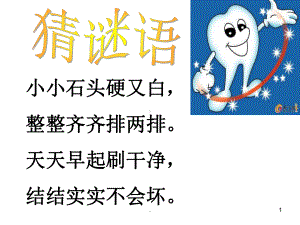 《保护我们的牙齿》医学PPT课件.ppt