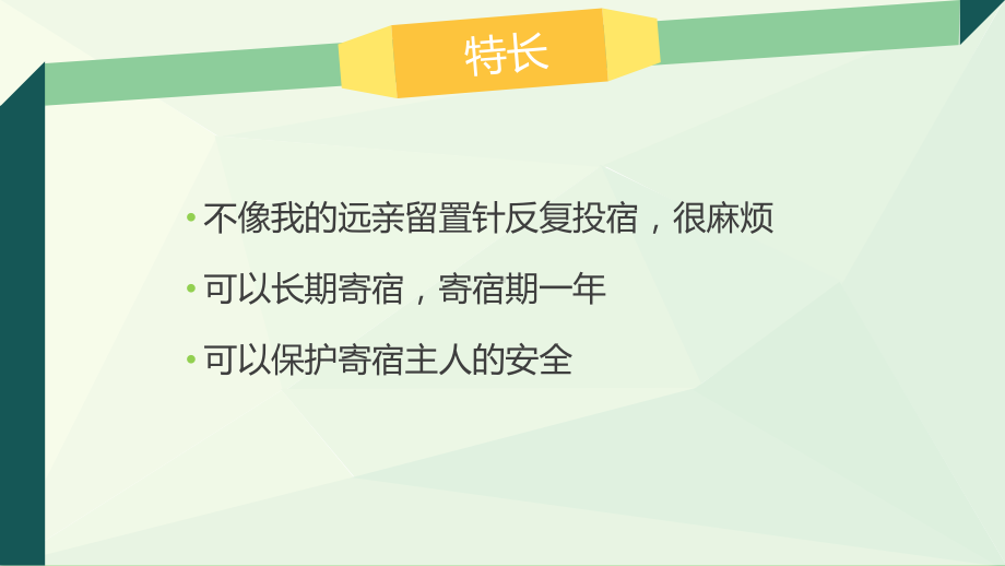 我的奇妙历险记课件.pptx_第3页