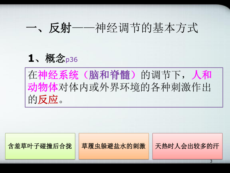 反射弧医学PPT课件.ppt_第3页