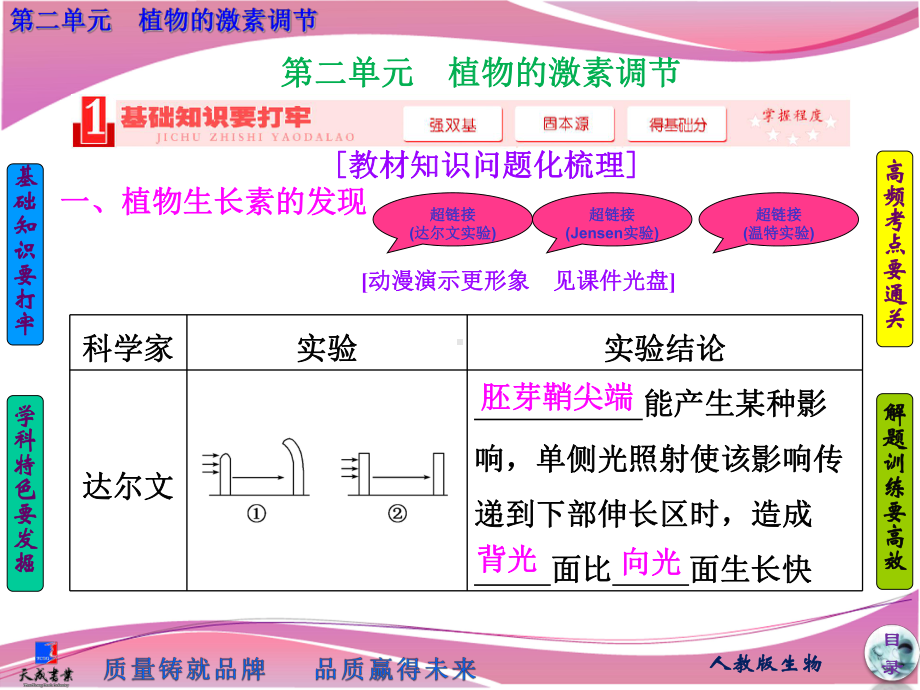 必修3-第二单元-植物的激素调节-优质课件.ppt_第2页