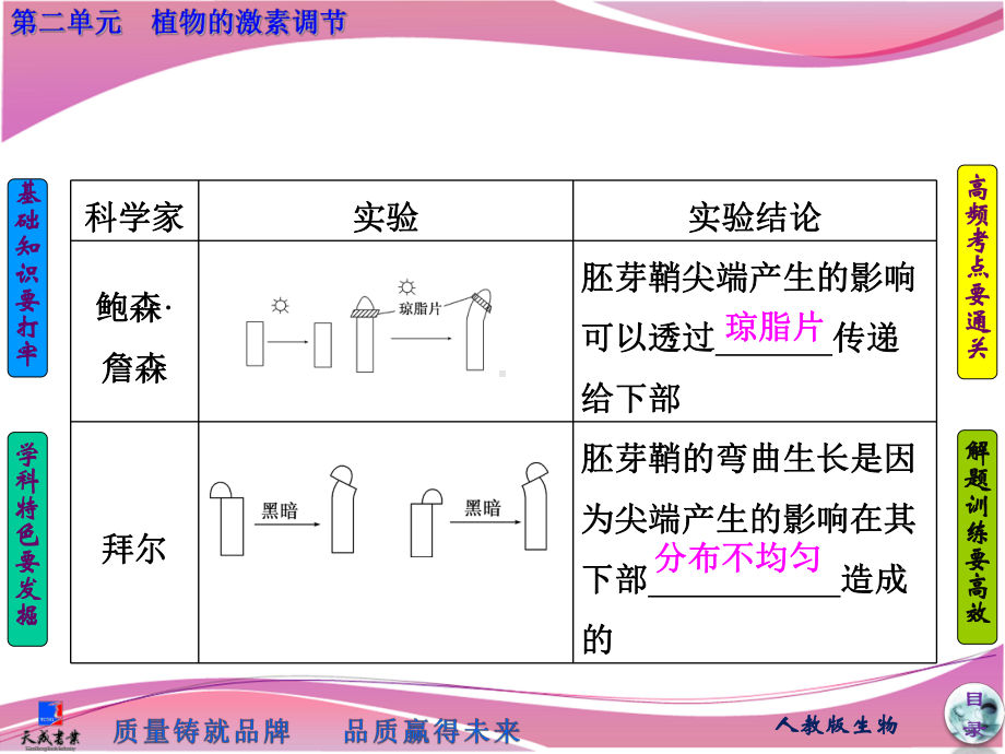 必修3-第二单元-植物的激素调节-优质课件.ppt_第3页