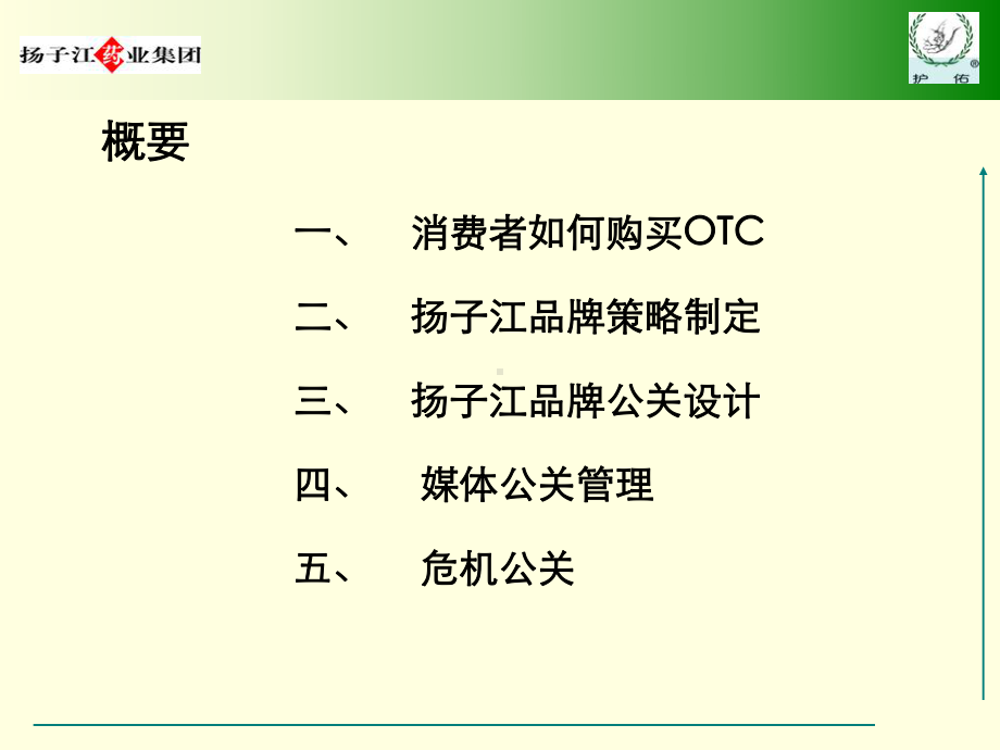 年度传播方案.ppt_第2页