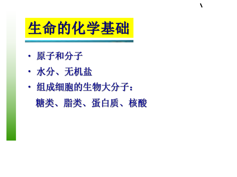 新编-2生命的化学基础-精品课件.ppt_第3页