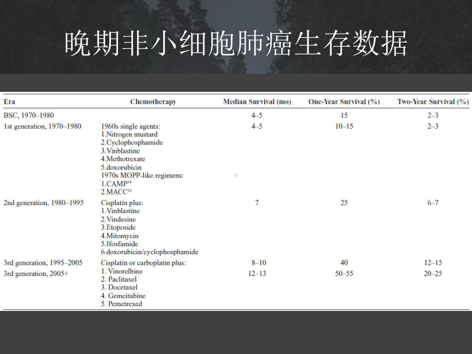 晚期NSCLC化疗进展课件.pptx_第2页