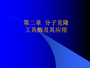 基因工程工具酶-基因工程技术ppt课件.ppt