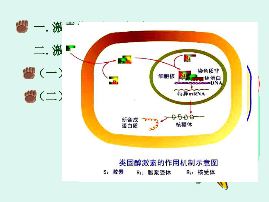 内分泌医学PPT课件.ppt_第3页