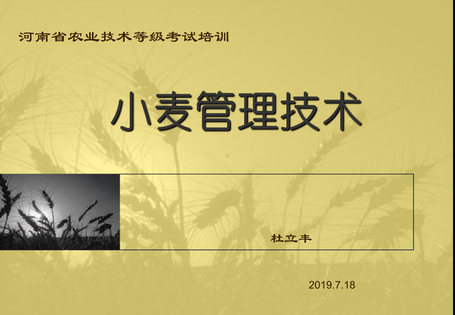 小麦管理技术(技术培训)-共55页PPT课件.ppt_第1页