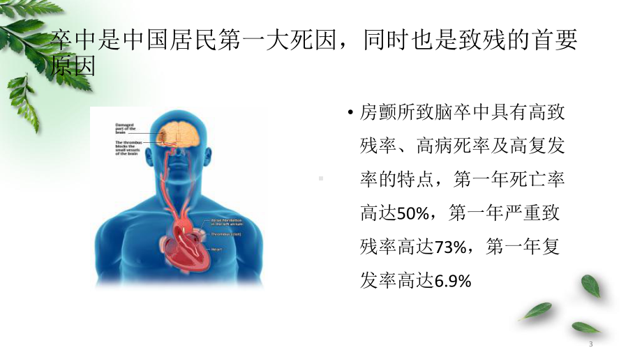 房颤一站式PPT医学课件.pptx_第3页