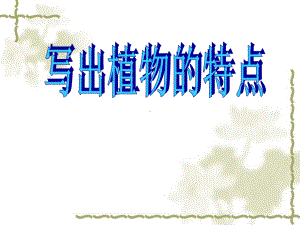 写出植物的特点-优质课件.ppt