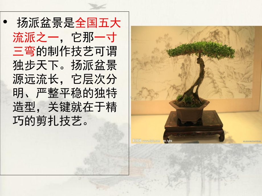 扬派盆景-PPT精选课件.ppt_第2页