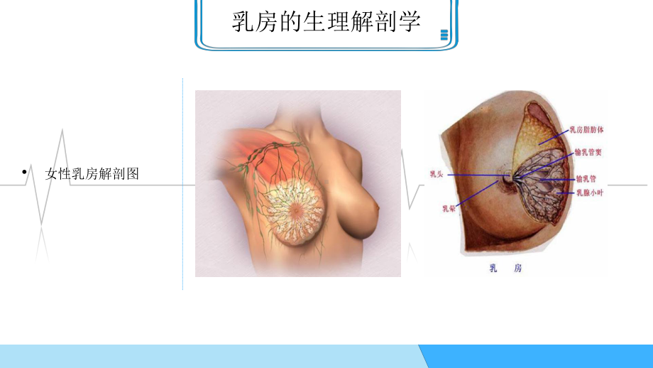 乳腺疾病科普知识课件ppt带内容.pptx_第2页