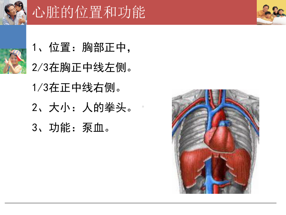 心脏的基础知识课件.pptx_第2页