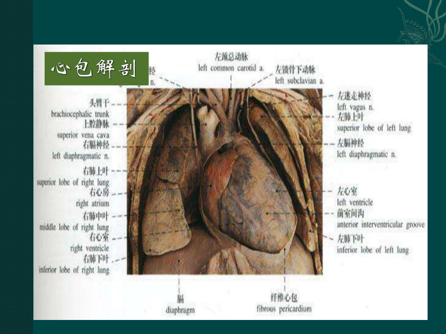 心包疾病(第八版)课件.ppt_第2页