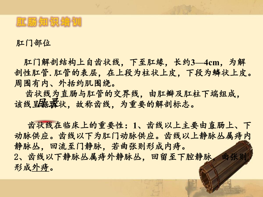 员工肛肠知识的培训课件.ppt_第2页