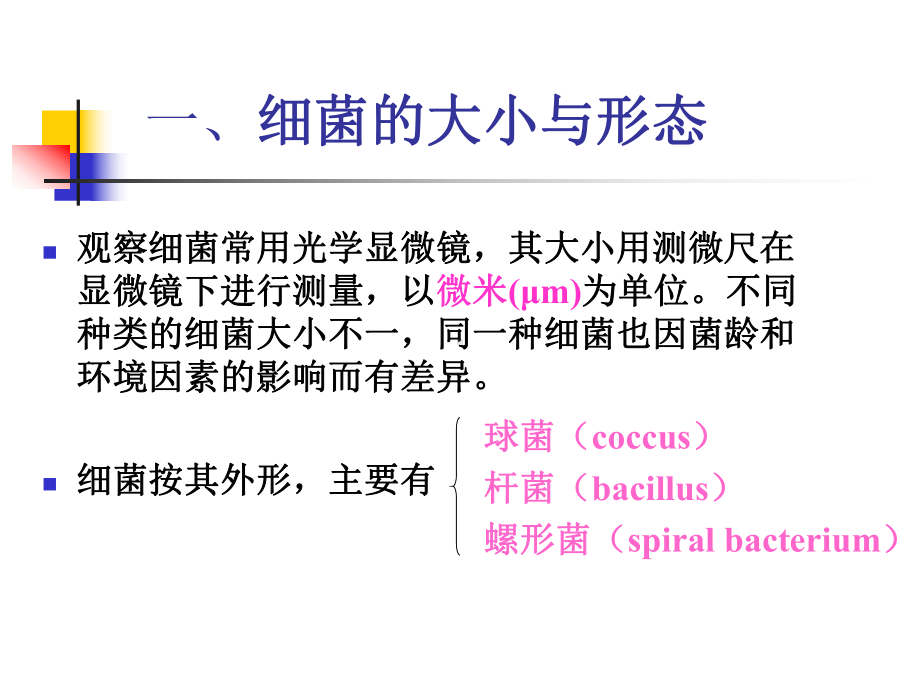 医学微生物学第一章课件.ppt_第3页