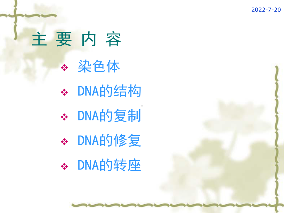 分子生物学第二章DNA结构与功能课件.ppt_第2页