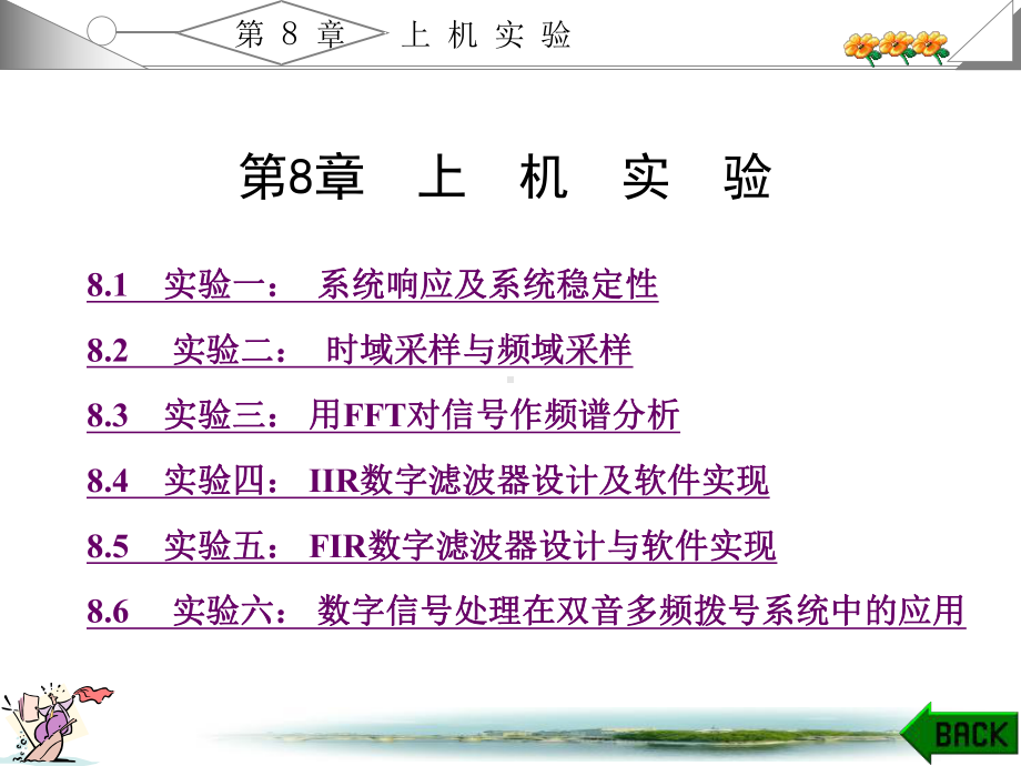 数字信号处理第8章课件.ppt_第1页