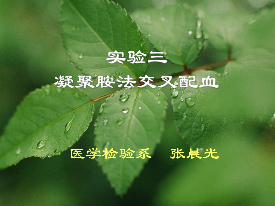 凝聚胺交叉配血试验课件.ppt_第1页