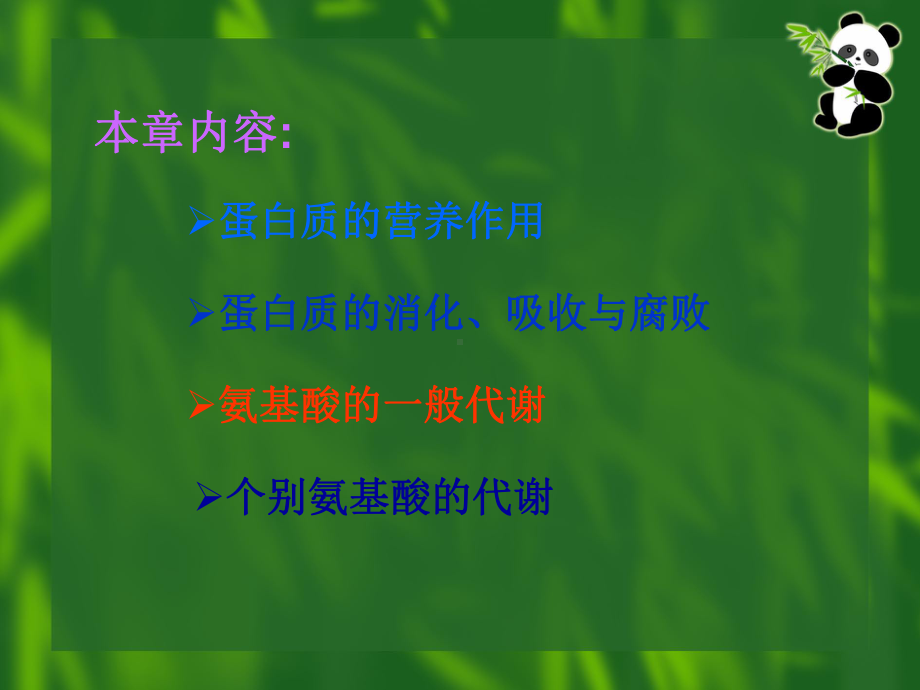 十章氨基酸代谢.ppt课件.ppt_第2页