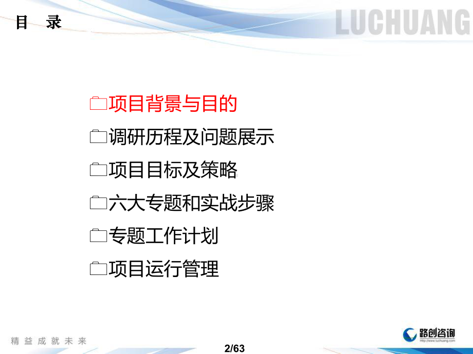 总装二车间质量驱动产能优化项目0510课件.ppt_第2页