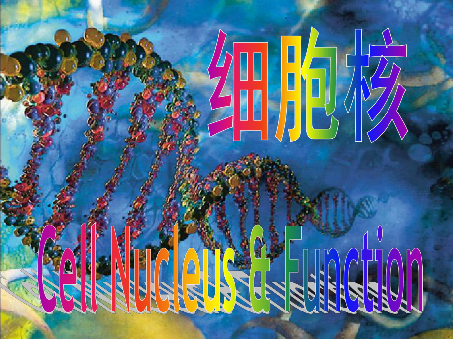 医学细胞生物学第八章细胞核和染色体课件.ppt_第1页