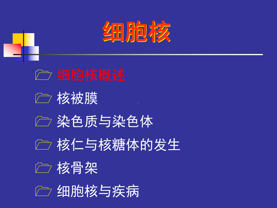 医学细胞生物学第八章细胞核和染色体课件.ppt_第2页