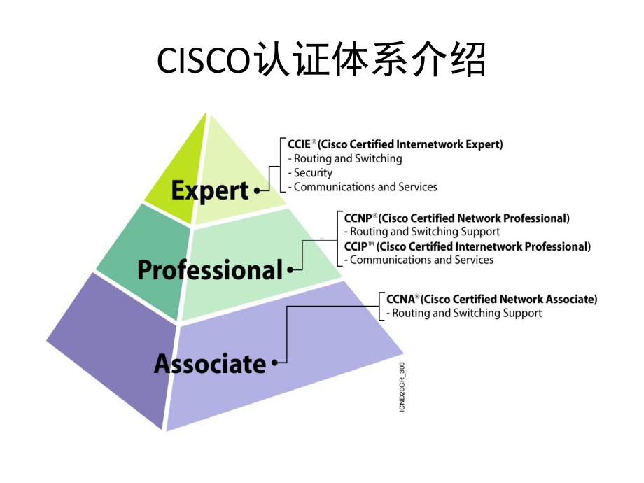 教学课件：《网络技术方案》1(同名1316).ppt_第3页