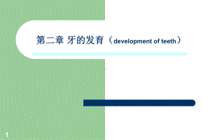 《牙的发育》PPT课件.ppt