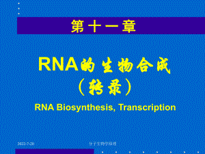 分子生物学原理-RNA的生物合成课件.ppt