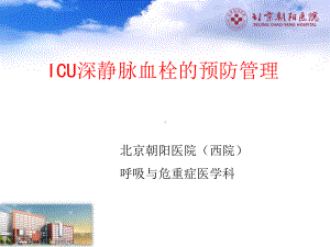 （临床护理课件幻灯）ICU深静脉血栓的预防管理.ppt