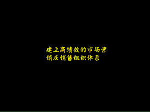 建立高绩效的市场营销及销售组织体系.ppt课件.ppt