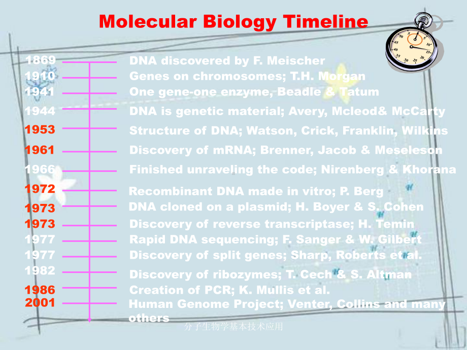 分子生物学基本技术应用课件.ppt_第2页