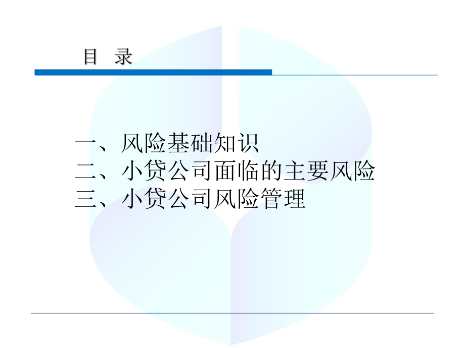 小贷公司风险管理-PPT课件.pptx_第2页