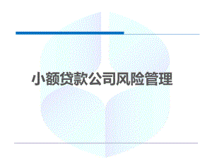 小贷公司风险管理-PPT课件.pptx