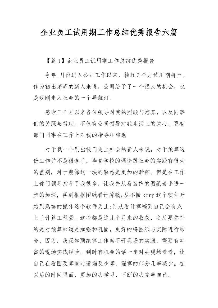 企业员工试用期工作总结优秀报告六篇.docx_第1页