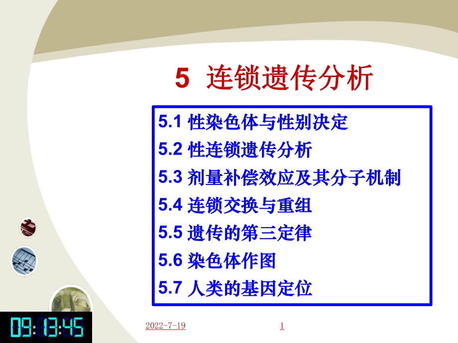 《连锁遗传分析》PPT课件.ppt_第1页