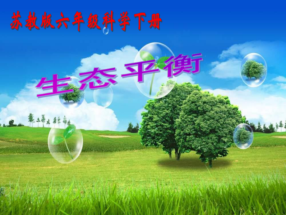 《生态平衡》教学课件好.ppt_第1页