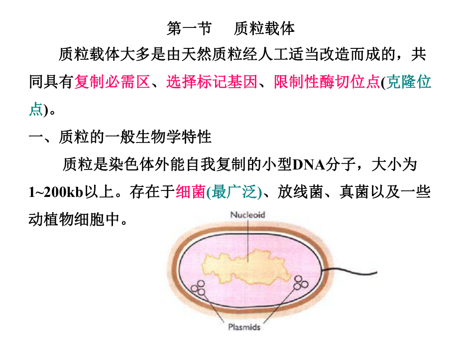 基因工程原理与技术-3ppt课件.ppt_第2页