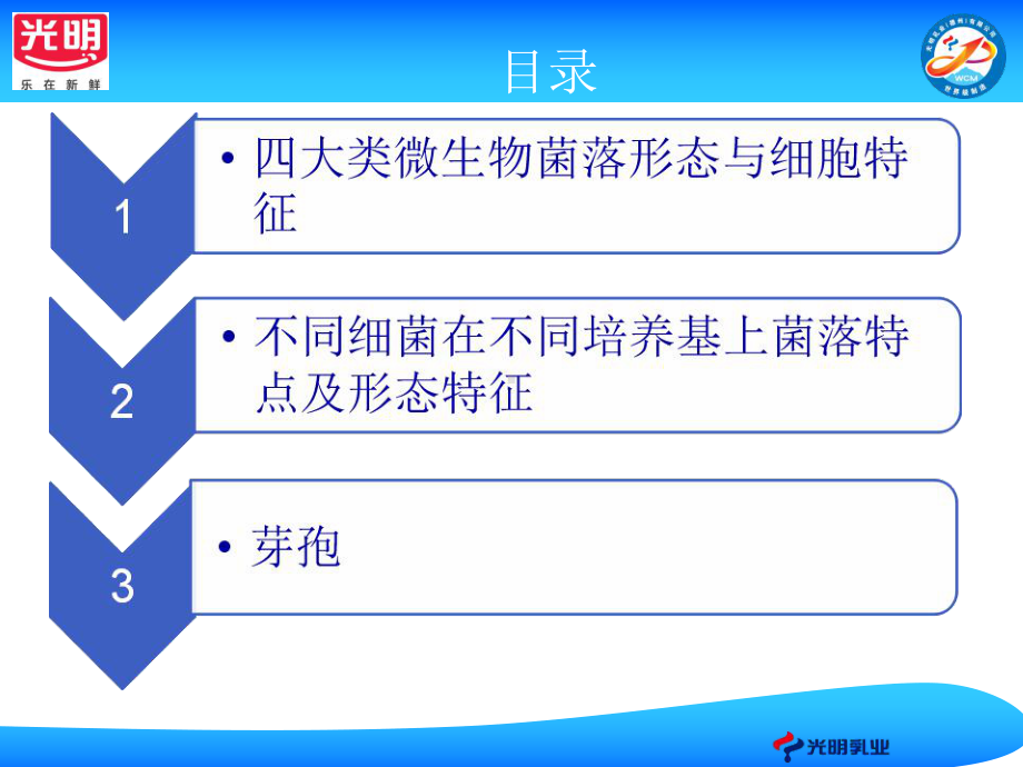 常见微生物菌落形态特征课件.ppt_第2页