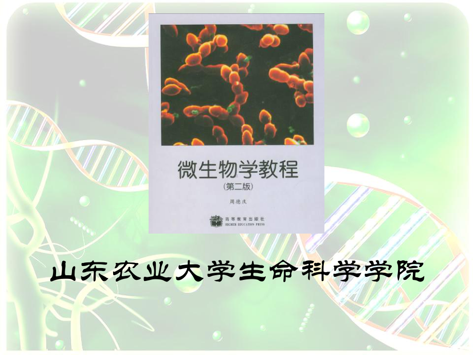 《微生物学课程》01原核形态2课件.ppt_第2页