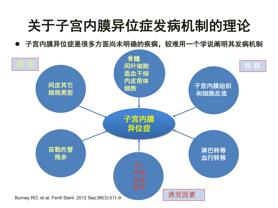 子宫内膜异位症热点问题相关诊疗策略课件.ppt_第3页