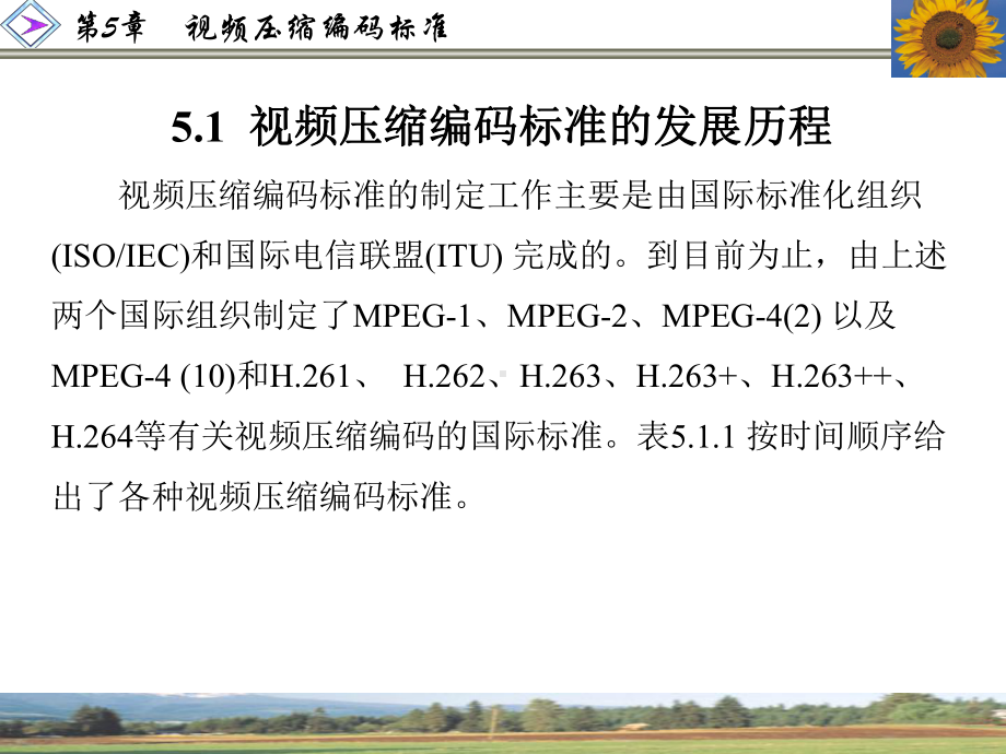 数字电视原理第5章-视频压缩编码标准-课件.ppt_第2页