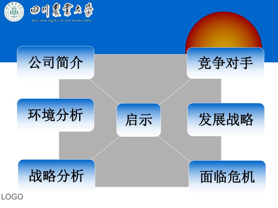 公司企业战略分析分析-共25页课件.ppt_第2页