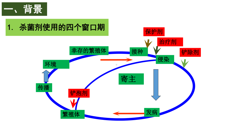 噻呋酰胺在水稻纹枯病综合防控中的应用研究ppt课件.pptx_第3页